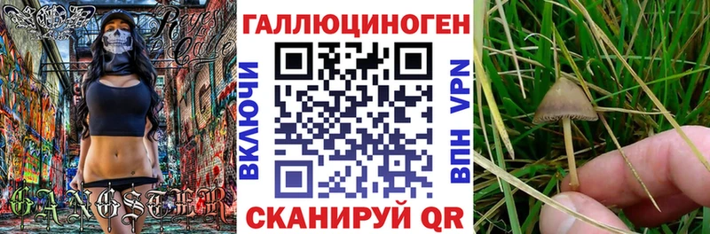 Купить закладки Липки Псилоцибиновые грибы мухоморы